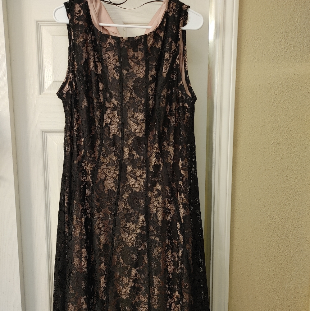 Dressbarn Black Lace and pink dress